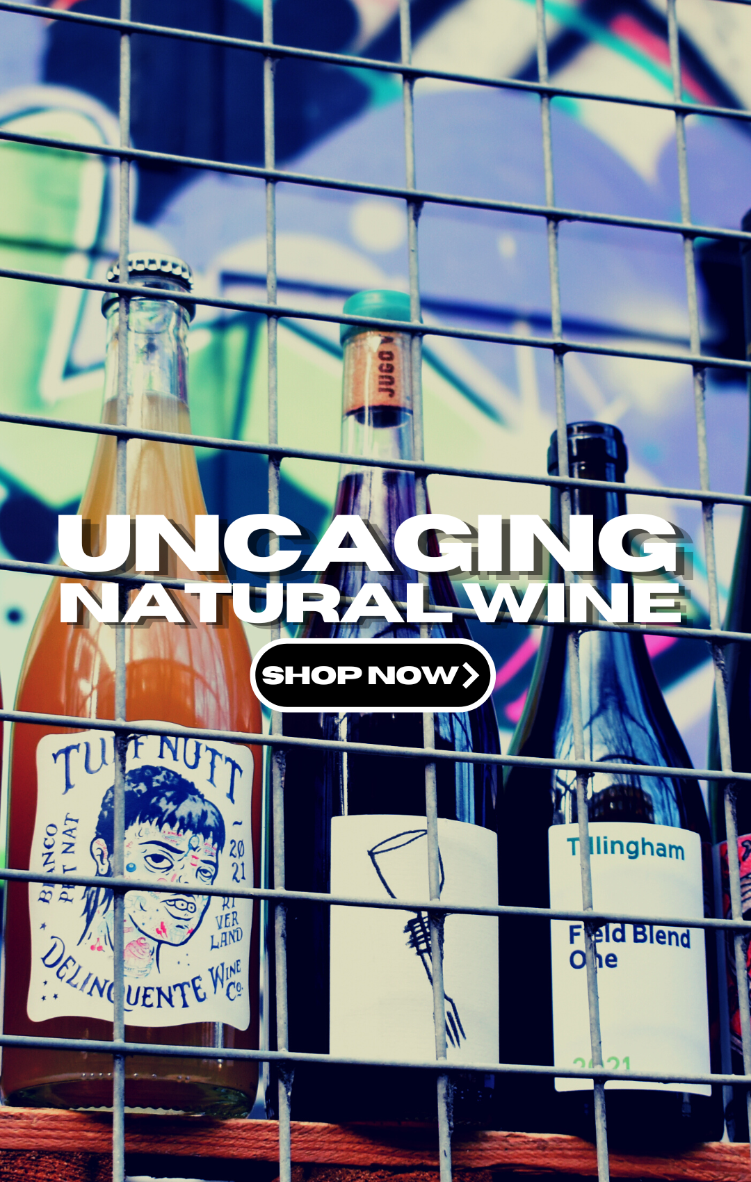 Selection of natural wine to buy in the UK