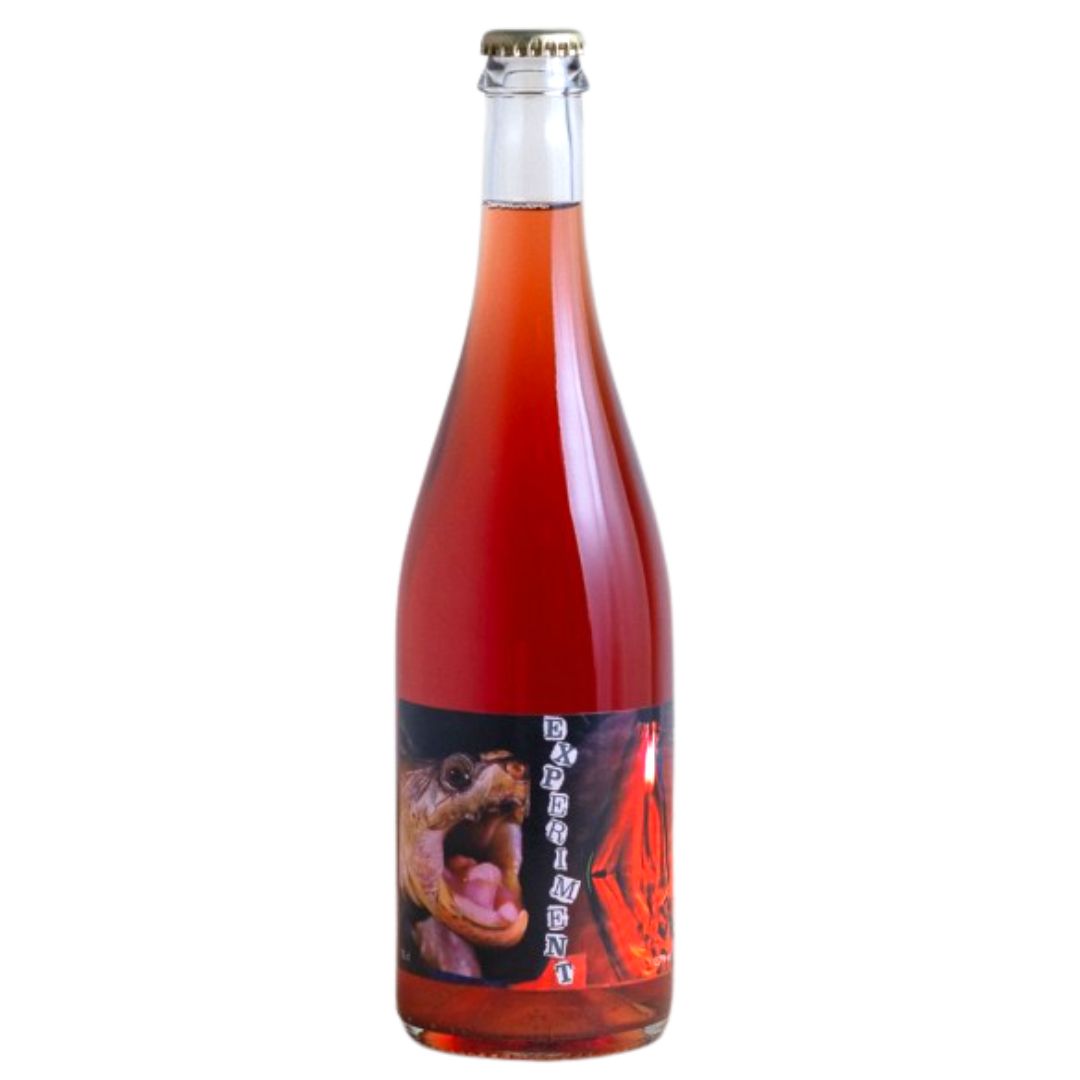 a bottle of Belly Wine Experiment, Experiment 2020 natural rose wine