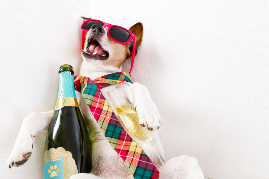 Does Natural Wine Give You a Hangover?