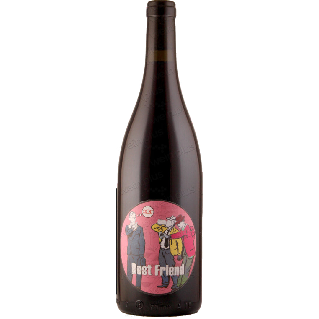 a bottle of Pittnauer, Best Friend 2021 natural red wine