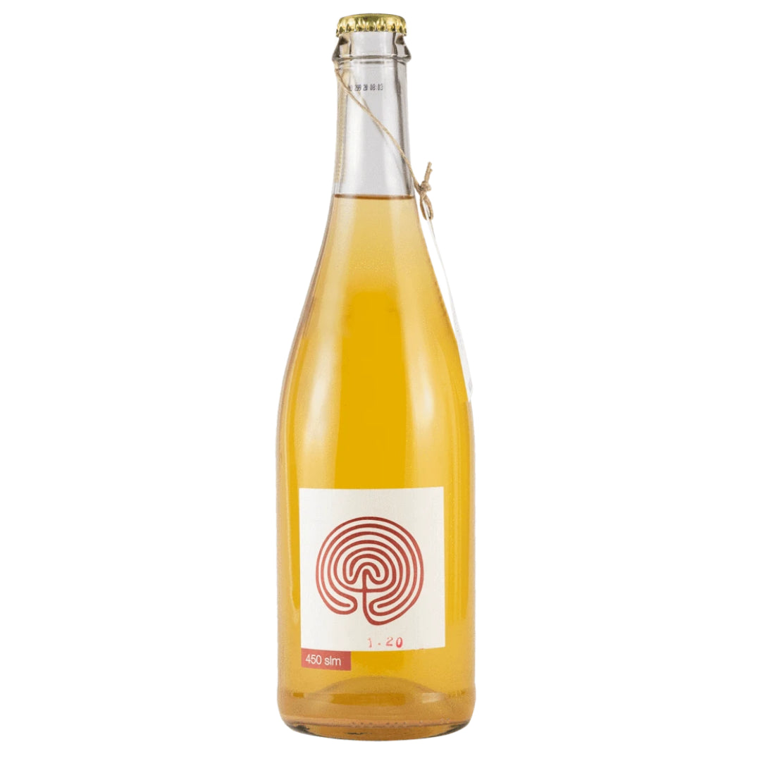 a bottle of Costadila 450slm 2021 sparkling natural wine