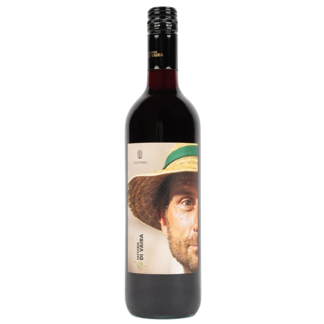 a bottle of Fattoria Di Vaira, Vincenzo Rosso 2019 natural red wine