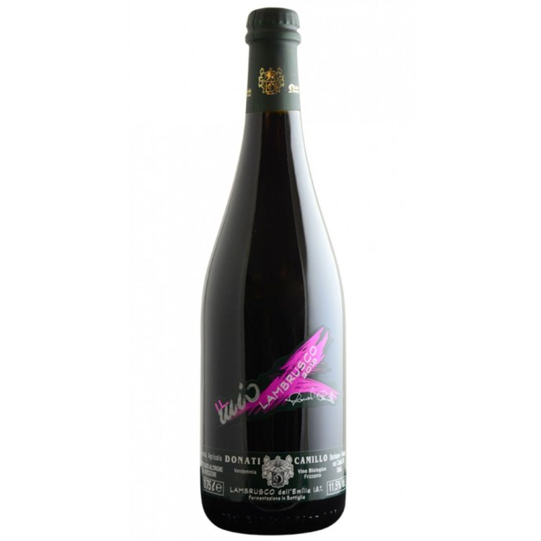a bottle of Camillo Donati, Lambrusco Rosso 2022 sparkling wine