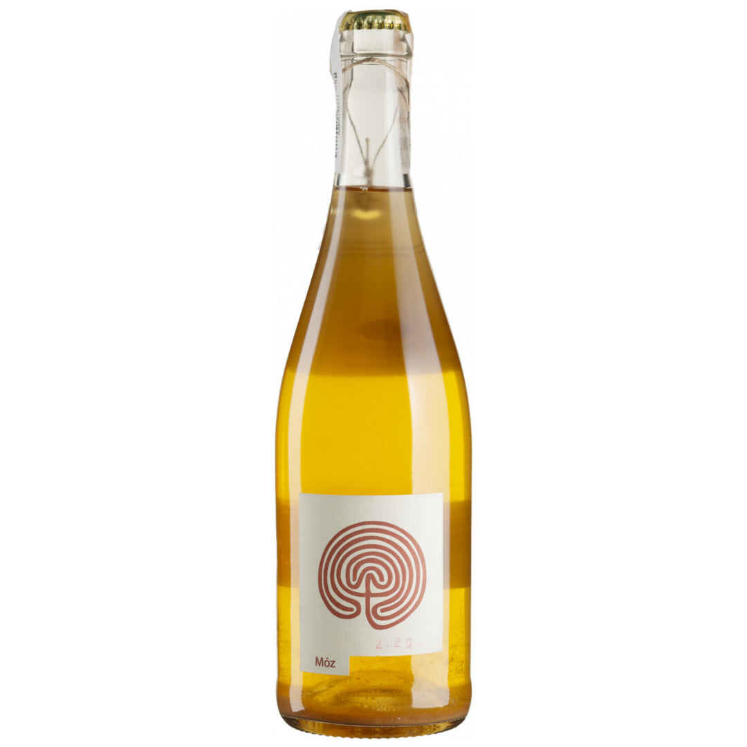 a bottle of Costadila Moz 2021 sparkling wine
