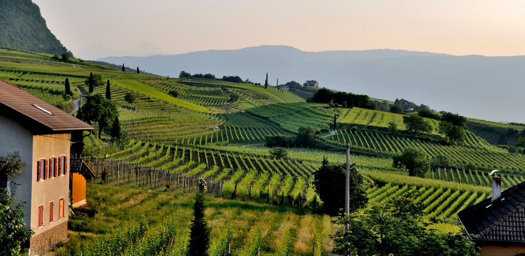 Juiced Wines' winery